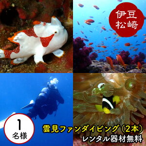 yӂ邳Ɣ[Łzyɓ_2{t@_CrOz^ޖihCX[cj