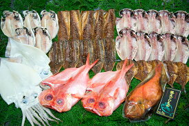 楽天市場 ふるさと納税 干物の通販