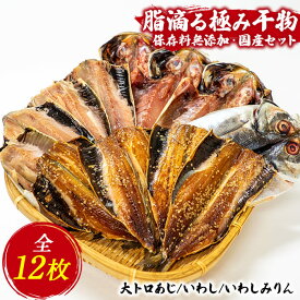 【ふるさと納税】 トロ あじ いわし 干物 ひもの みりん干し 保存料無添加 伊豆 静岡 御中元 御歳暮 海産屋の「脂滴る極み干物セット」