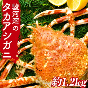 �y�ӂ邳�Ɣ[�Łz �① �^�J�A�V�K�j �J�j �x�͘p ���ɓ� �ɓ� ���R�ے����u�x�͘p�̃^�J�A�V�K�j�v