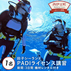 【ふるさと納税】ダイビング 西伊豆 PADIライセンス取得！伊豆「田子シーランド」レンタル＆講習プラン レンタル 静岡 西海岸 マリンアクティビティ