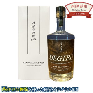 yӂ邳Ɣ[Łzɓ̐_ -GIN- DEGIRU