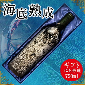 【ふるさと納税】海底熟成ワインVOYAGE【シャトー・ラ・ファヴィエール　2019】