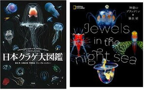 yӂ邳Ɣ[Łzӂ邳ƑgiݏZj Cmʐ^Ɓ@@w{NQ}ӁxwJewelsin the night sea@_̃vNgx@2Zbg