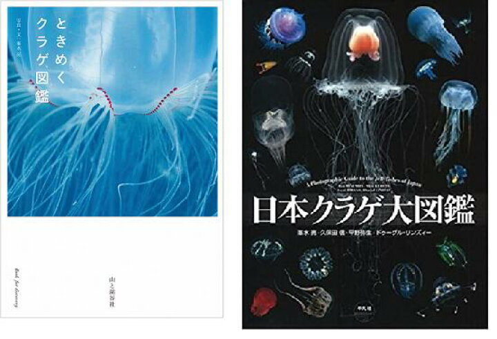 楽天市場】【ふるさと納税】清水町ふるさと大使（清水町在住）海洋生物 