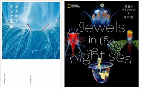 yӂ邳Ɣ[Łzӂ邳ƑgiݏZj Cmʐ^Ɓ@@wƂ߂NQ}ӁxwJewelsin the night sea@_̃vNgx@2Zbg