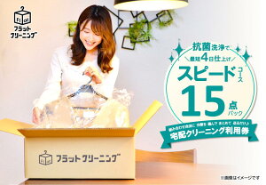 【ふるさと納税】クリーニング 宅配 フラットクリーニング 15点スピードパック利用券