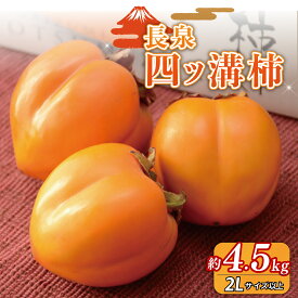 【ふるさと納税】 【先行予約】四ッ溝柿 約4.5kg 数量限定 2025年発送 柿 かき カキ 渋抜き フルーツ 令和7年産 果物 スイーツ 予約受付 11月上旬から順次発送 冷蔵 お中元 ギフト 贈答用 プレゼント 取り寄せ 静岡県 長泉町