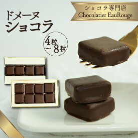 【ふるさと納税】 ドメーヌ ショコラ 選べる個数 4粒～8粒 チョコレート カカオ 豆 冷凍 母の日 贈答 ギフト プレゼント バレンタイン チョコ クリスマス 静岡県 長泉町