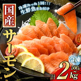 【ふるさと納税】 サーモン 国産 ワンフローズン 富士山【冷凍】＜選べる内容量＞ 500g 〜 2kg アトランティック サーモン ポーション アラ 刺身 さしみ 冷凍 小分け サーモン丼 たたき 5000円以内 5000円以下 ふるさと納税限定