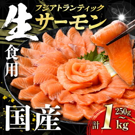 【ふるさと納税】鮮度が違う！ 国産 生 サーモン ノンフローズン 富士山「 フジ アトランティック サーモン 」【 生 】＜選べる 容量＞ 250g 〜 1kg以上 ｜ 一度も凍らせてない 刺身 冷蔵 小分け 真空パック 刺し身 食品添加物不使用 魚 柵 ポーション ふるさと納税限定