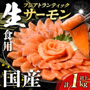 �y�ӂ邳�Ɣ[�Łz�N�x���Ⴄ�I ���Y �x�m�R �� �T�[���� �m���t���[�Y�� �u �t�W �A�g�����e�B�b�N �T�[���� �v�y �� �z���I�ׂ� �e�ʁ� 250g �` 1kg�ȏ� �b ��x�����点�ĂȂ� �h�g �① ����