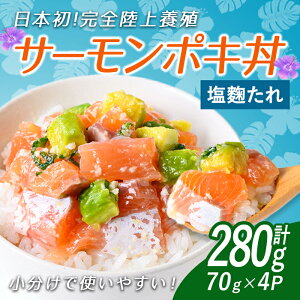 yӂ邳Ɣ[Łz Iׂ ty { FS{BzRY AgeBbN T[ (Ⓚ) |L b v280g (70×4P) b RN|܂ ? ЂT[Ƒt b Y 