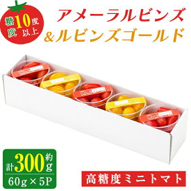 【ふるさと納税】アメーラルビンズ ＆ ルビンズゴールド 5パック入り 合計約300g | 1パック 約60g 2種 食べ比べ セット 糖度10度以上 高糖度 ミニトマト トマト とまと 詰め合わせ 野菜 食品 名産 特産品 お取り寄せ 静岡県 小山町