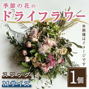 yӂ邳Ɣ[Łz G߂   hCt[ XbO b  Iׂ TCY  STCY(30cm) or MTCY(40cm) b hCt[  t[ CeA XbO Mtg v[g