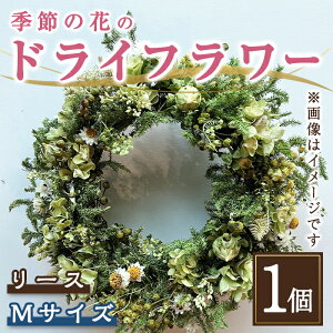 yӂ邳Ɣ[Łz G߂   hCt[ [X b  Iׂ TCY  STCY(a15cm) or MTCY(a20cm) b hCt[  t[ CeA [X Mtg v[g 