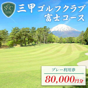 yӂ邳Ɣ[ŁzObStyxmR[XixmۃStyjStv[p | v4000~` Iׂ p `Pbg 1 4000~×1` 5 10 20 yR St 