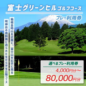 【ふるさと納税】富士グリーンヒルG・C ゴルフプレー利用券 | 計4000円分〜 選べる 利用券 チケット 1枚 4000円×1枚〜 5枚 10枚 20枚 【小山町内 ゴルフ場 共通利用券】 ゴルフ ゴルフ場 フラット ゴルフプレー券 ゴルフ利用券 富士山 券 グリーンヒルゴルフコース 静岡県