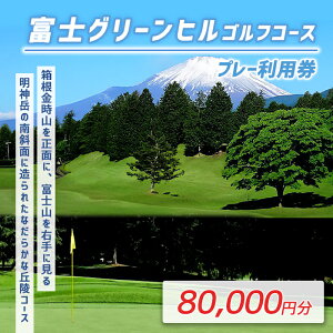 yӂ邳Ɣ[ŁzxmO[qGEC Stv[p | v4000~` Iׂ p `Pbg 1 4000~×1` 5 10 20 yR St ʗpz St St tbg