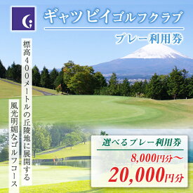 【ふるさと納税】ギャツビイゴルフクラブ プレー利用券 | 計8000円分〜 選べる 利用券 チケット 1枚 4000円×2枚〜 3枚 5枚 【小山町内 ゴルフ場 共通利用券】 ゴルフ ゴルフ場 ゴルフプレー券 ゴルフ利用券 富士山 富士 景観 券 静岡県 小山町 送料無料