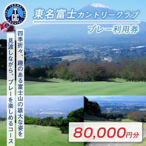 yӂ邳Ɣ[ŁzxmCC Stv[p | 4000~` Iׂ p `Pbg 1 4000~×1` 2 3 5 10 20yR St ʗpz St St u˃R[X S