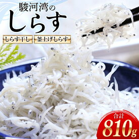 【ふるさと納税】静岡県駿河湾産　しらす干し120g×3・釜上げしらす150g×3 [マルあ水産 静岡県 吉田町 22424061]