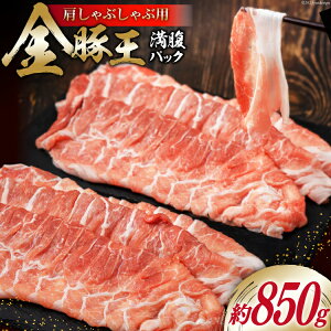 yӂ邳Ɣ[Łz ؉pbN 850g [˂܂ É gc 22424090]  ؓ  Ԃ ؉ Ƃ񂨂  Ԃԗp Y 800Oȏ Ⓚ
