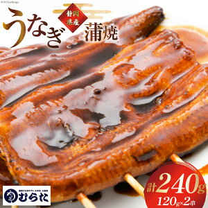 yӂ邳Ɣ[Łz Ȃ Y YΏ   120g ×2 v240g [cX É gc 22424322] V EiM YΏĂ Y Ă Ⓚ ^pbN Ȃ̂ނ炽