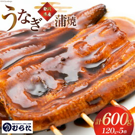 【ふるさと納税】うなぎ 国産 炭火焼 肉厚 蒲焼 120g ×5尾 計600g [村田商店 静岡県 吉田町 22424323] 鰻 ウナギ 炭火焼き 炭火 蒲焼き 冷凍 真空パック うなぎのむらた
