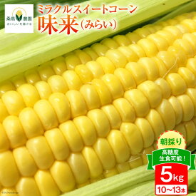 【ふるさと納税】【糖度平均18度以上】とうもろこし 朝どれミラクルスイートコーン「味来」5kg箱 10～13本 [桑高農園 静岡県 吉田町 22424254] コーン トウモロコシ スイートコーン 朝採り 朝採れ 甘い