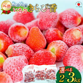 【ふるさと納税】 【令和7年台風15号復興支援】 いちご 冷凍 きらぴ香 1kg 2〜3袋 計2〜3kg 選べる量 [ HITOMISHIRI ICHIGO 中村農園 静岡県 吉田町 22424409] 冷凍いちご イチゴ 苺 フルーツ 果物 itigo 災害支援 復興