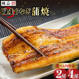 【ふるさと納税】 うなぎ 国産 蒲焼 130g 2〜4尾 詰合せ タレ 山椒 付き 綱正 [フーズ・ユー綱正 静岡県 吉田町 22424588] 鰻 ウナギ unagi 蒲焼き うなぎ蒲焼き うなぎ蒲焼 鰻蒲焼 冷凍 うな重 ひつまぶし 丑の日