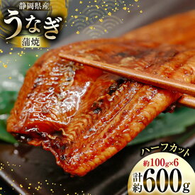 【ふるさと納税】 うなぎ 国産 静岡 蒲焼 ハーフカット 100g 6パック 計600g [静岡鰻販売 静岡県 吉田町 22424172] 鰻 ウナギ unagi 蒲焼き かば焼き うなぎ蒲焼き 鰻蒲焼 真空パック 冷凍 静岡県産 丑の日 レビューキャンペーン