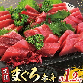 【ふるさと納税】 マグロ 天然 まぐろ 赤身 サク 4袋 計1.2kg [大長増田商店 静岡県 吉田町 22424243] 鮪 魚 魚介 刺し身 刺身 さしみ お刺身用 柵 ブロック キハダ 業務用