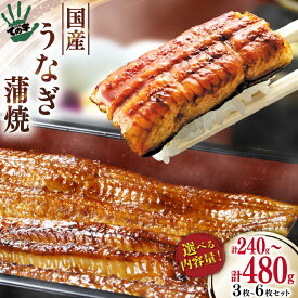 【ふるさと納税】 【選べる内容量】 うなぎ 国産 蒲焼 80g 3 or 6パック 選べる量 [ての字 静岡県 吉田町 22424572] 鰻 ウナギ unagi うなぎかば焼き うなぎ蒲焼き 鰻蒲焼 蒲焼き 真空パック タレ たれ 静岡県産 丑の日