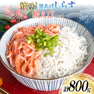 yӂ邳Ɣ[Łz y_{򌣕iIz g炷 500g g 300g [ێOY É gc 22424486] VX 炷 gVX Gr TNGr CV x͘p
