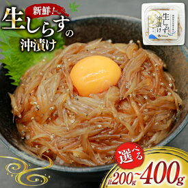 【ふるさと納税】 生しらす沖漬け 100g 2〜4パック 計200g〜400g 選べる量 [マルあ水産 静岡県 吉田町 22424525] 生しらす 生シラス 沖漬け しらす シラス 魚 海鮮 駿河湾産