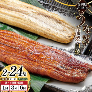 yӂ邳Ɣ[Łz Ȃ Y   Hה 2`24 Iׂ   3 6 ^Rt [삤Ȃ É gc 22424568] V EiM unagi Ă Ă ^pbN É