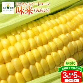 【ふるさと納税】 【期間限定発送】【糖度平均18度以上】 とうもろこし 朝どれミラクルスイートコーン「味来」3kg箱 6〜8本 or 5kg箱 10〜13本 [桑高農園 静岡県 吉田町 22424600] コーン トウモロコシ スイートコーン 朝採り 朝採れ 甘い