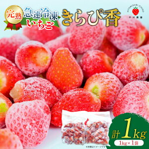 yӂ邳Ɣ[Łz yߘa7N䕗15xz Ⓚ ҍ 1kg 1 [HITOMISHIRI ICHIGO _ É gc 22424686] Ⓚ C`S  t[c ʕ itigo ЊQx 