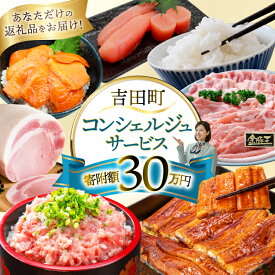 【ふるさと納税】 【あなただけの返礼品をお届け!】 コンシェルジュ サービス 寄附金額 30万円 オーダーメイド プラン [結デザイン有限会社 静岡県 吉田町 22424694]