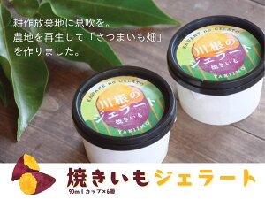 yӂ邳Ɣ[ŁzĂWF[gi90mlJbv×6j