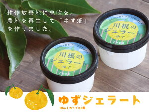 yӂ邳Ɣ[Łz䂸WF[gi90mlJbv×6j