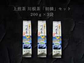 【ふるさと納税】上煎茶　川根茶「初摘」セット 200g×3袋