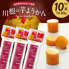 【ふるさと納税】芋ようかん(3本〜10本) | ふるさと納税 羊羹 芋ようかん 和菓子 スイーツ お菓子 ようかん 芋 食べきり 個包装 小分け おやつ お茶請け 静岡県 川根本町