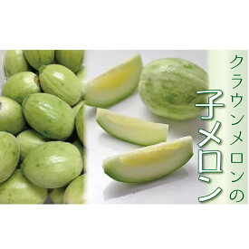楽天市場 京都 漬物 フルーツ 果物 食品 の通販