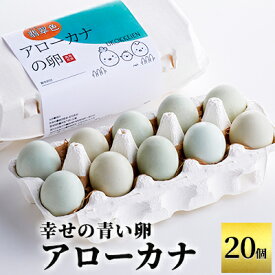 【ふるさと納税】幸せの青い卵　アローカナ　20個　　【 珍しい さっぱり 臭み オレンジ ゆで卵 生卵 美味しい 卵かけごはん 】