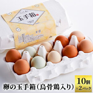 yӂ邳Ɣ[Łz̋ʎ蔠iG{j10×2pbN VRLO  Z Â L ŗ  ͂ {On{ ÉR[` ԗ L
