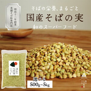yӂ邳Ɣ[ŁzY ΂̎ 500g` Iׂe `Ղ̍YΎ ۂʂ ނ G1 Oet[ H@ r^~ ^pN ~l ΂̎͂ X[p[X[