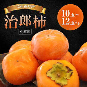 yӂ邳Ɣ[ŁzBXYY` 10ʁ`12(3.7kg) ϔ `  ʕ t[c Ê` c Y` uh 炩 i RN Ê`̉l X É@͂F2025N115